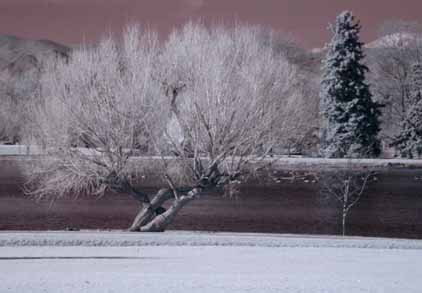 Effect with IR cutting filter